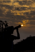 IIP Online Student Photography